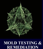 Commercial Mold Remediation